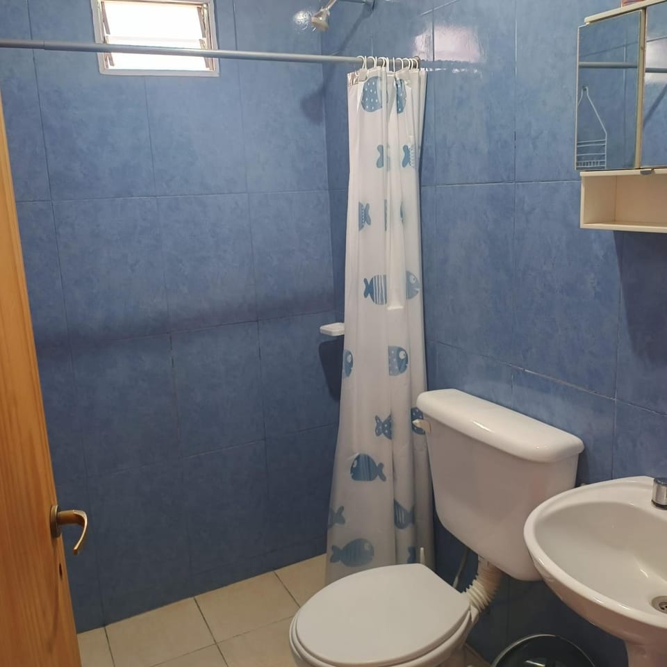 Shower, Toilet, Bathroom, bidet