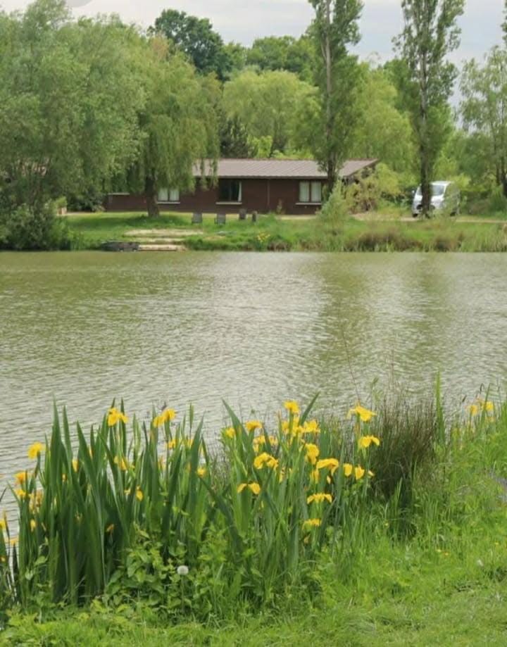 Property building, Natural landscape, Lake view