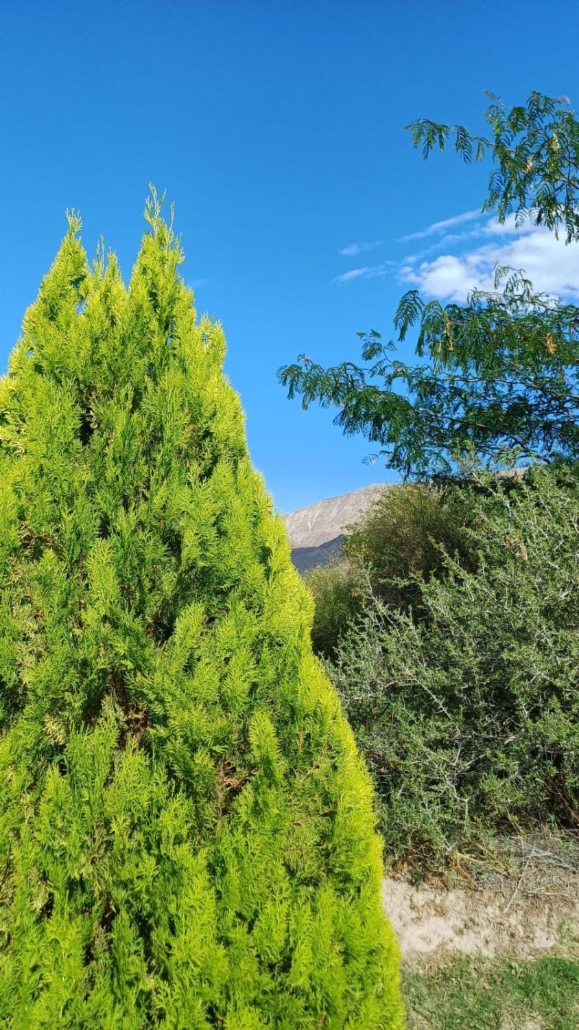 Day, Natural landscape, Garden, Garden view