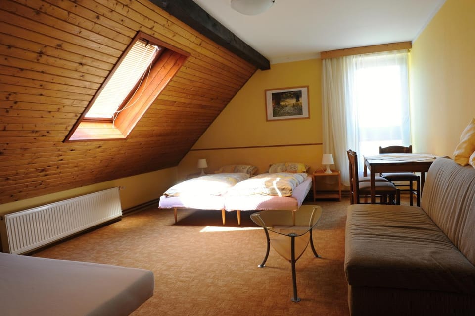 Penzion Alpina Liberec Bed and Breakfast in Saxony