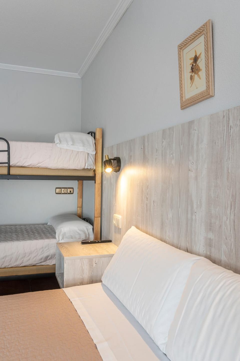 Bed, Photo of the whole room, bunk bed