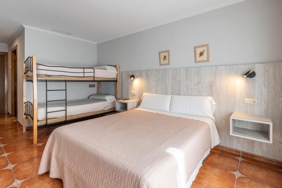 Bed, Photo of the whole room, Bedroom, bunk bed