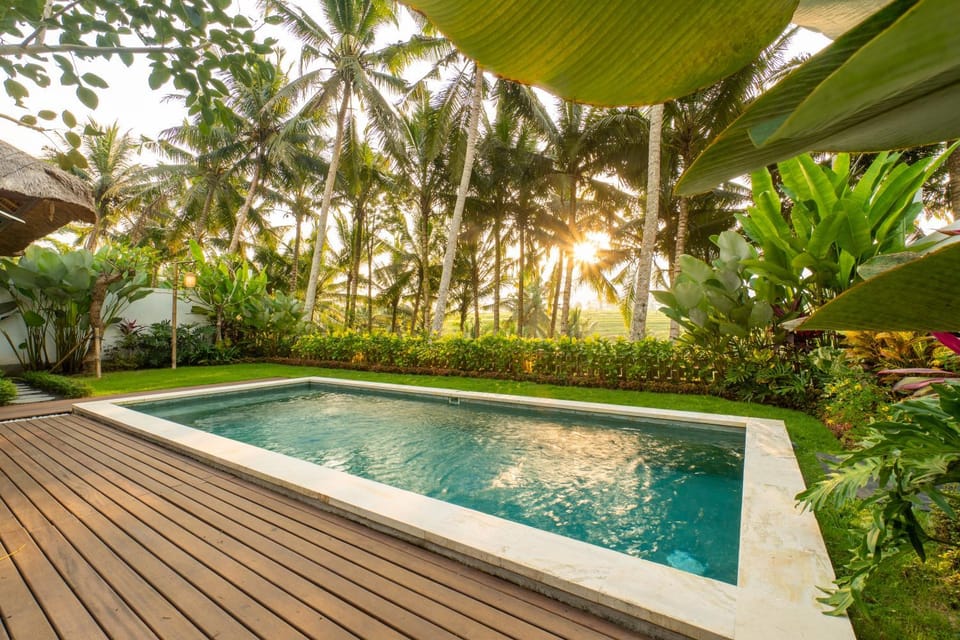 Spring, Natural landscape, Garden, Garden view, Pool view, Swimming pool