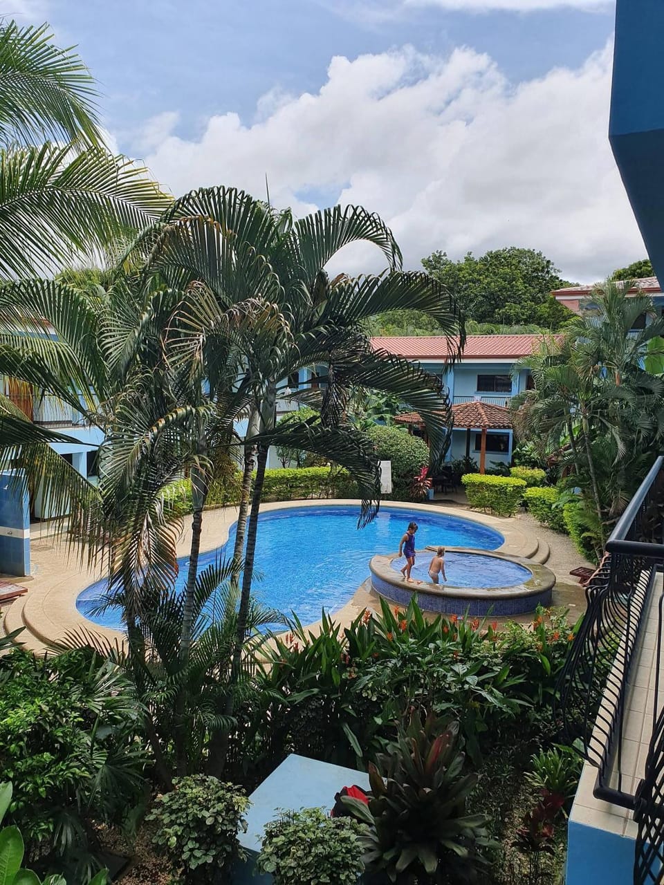 Garden, Swimming pool