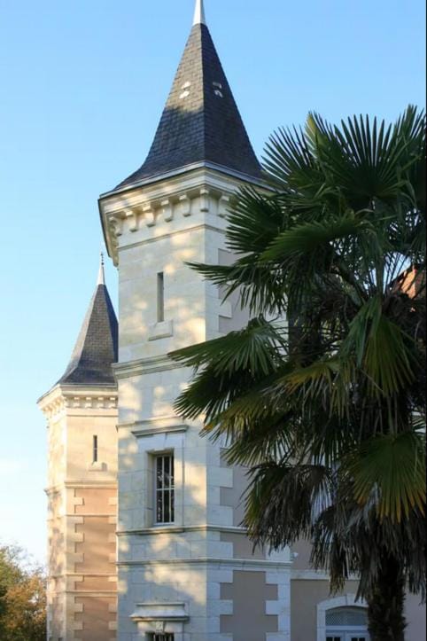 Le Château de Monciaux Villa in Nouvelle-Aquitaine