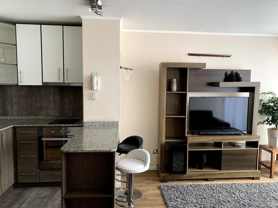 Communal lounge/ TV room, TV and multimedia, Kitchen or kitchenette, Living room, Seating area, oven