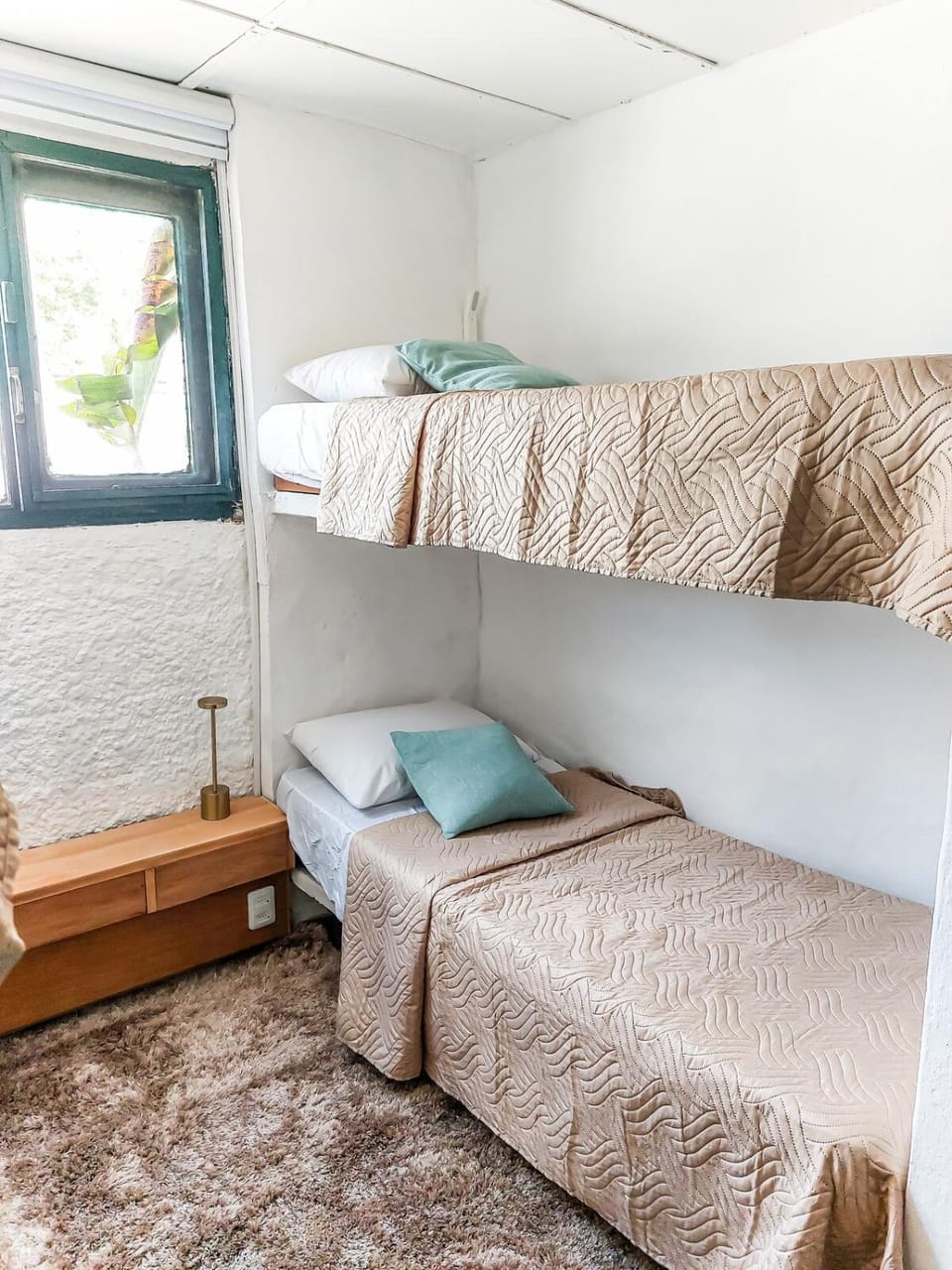 Bed, Photo of the whole room, Bedroom, bunk bed