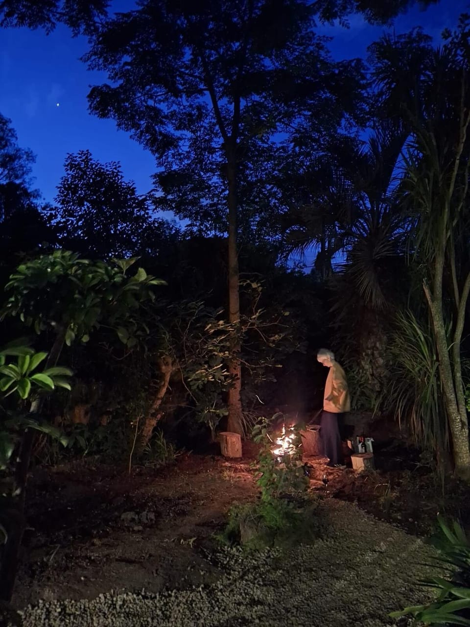 Patio, Night, Natural landscape, Garden, Garden view