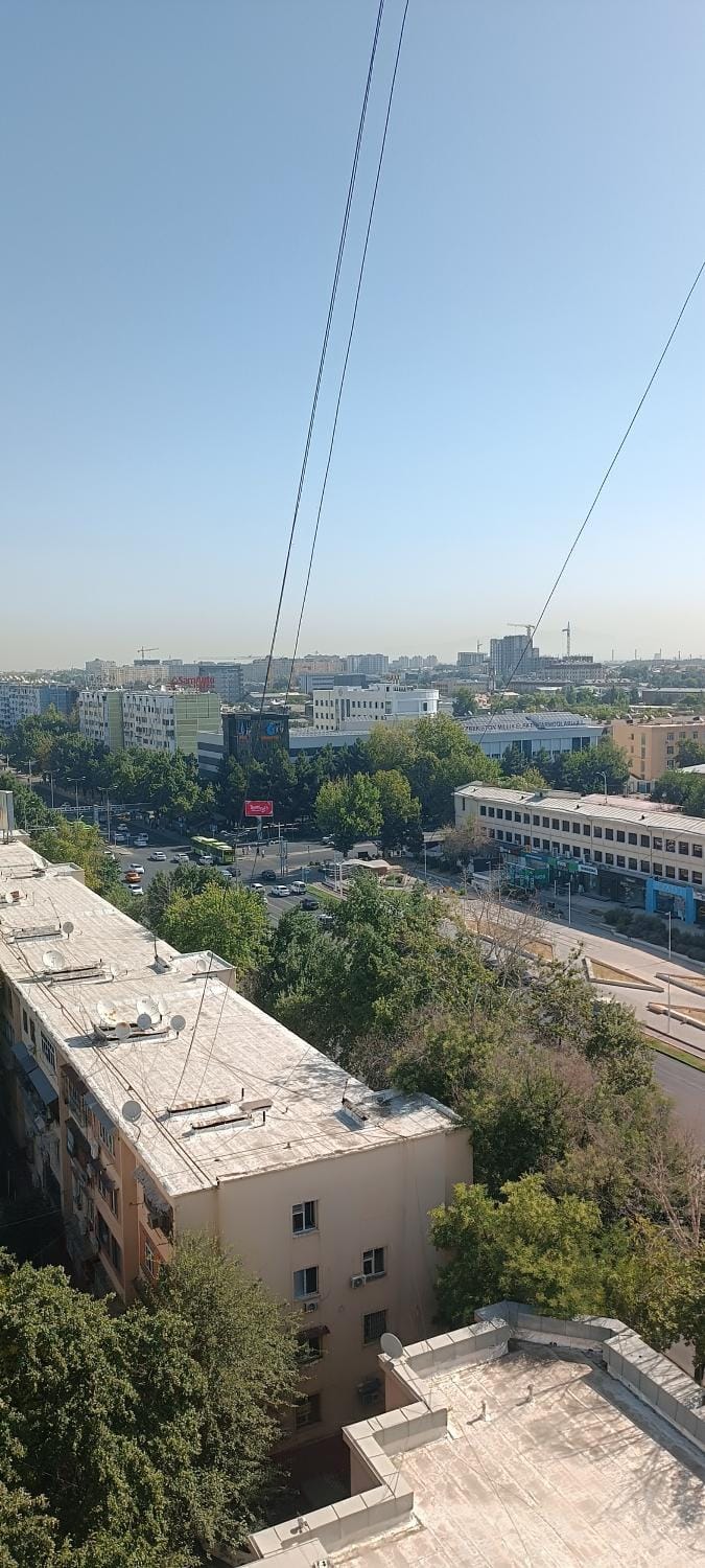 Day, Neighbourhood, City view