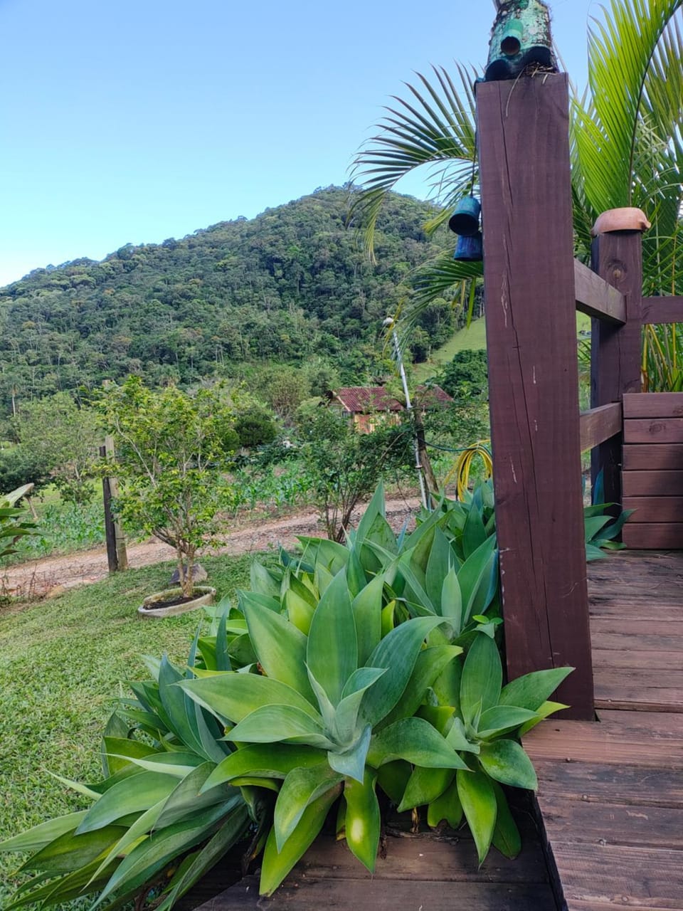 Sitio Vida House in State of Santa Catarina