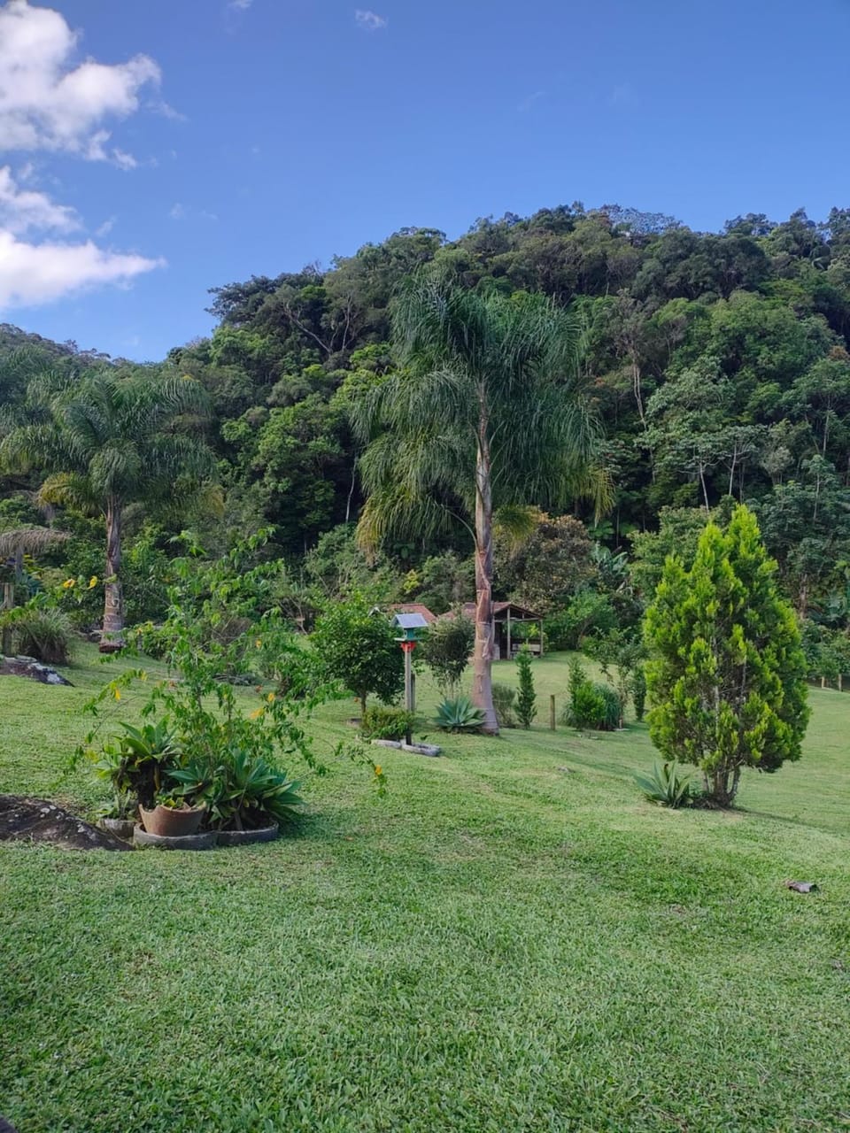 Natural landscape, Garden, Garden view, Mountain view