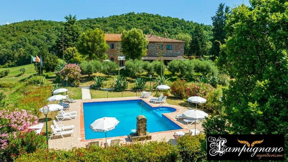 Garden, Swimming pool