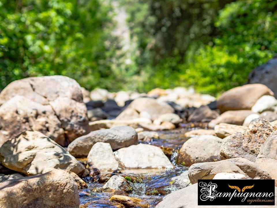 Natural landscape, River view