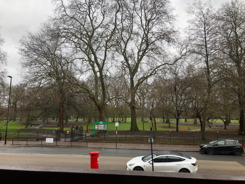 View (from property/room)