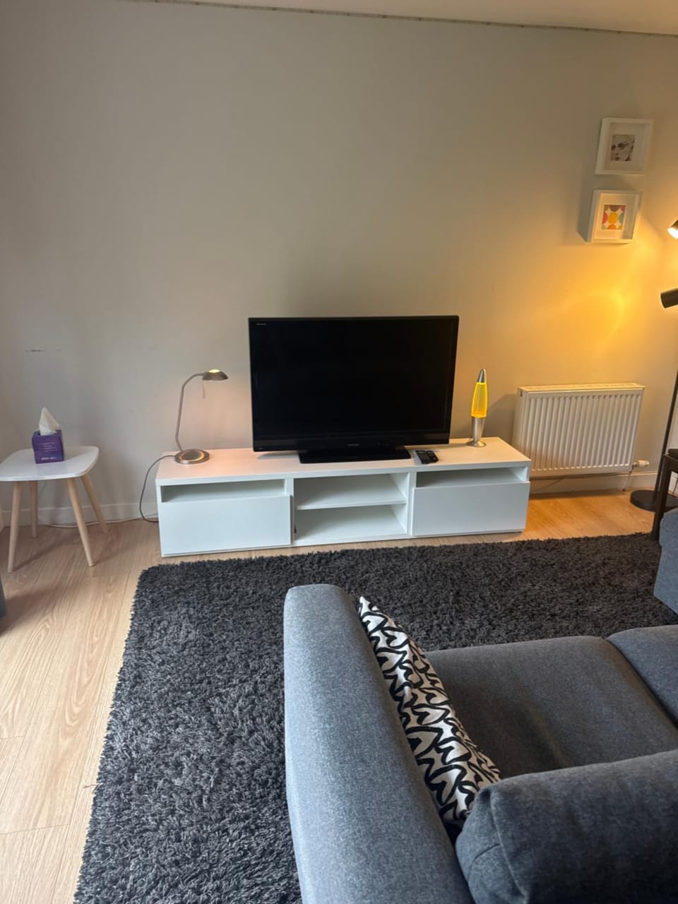 Spacious & Modern Garden Apartment Apartment in Glasgow
