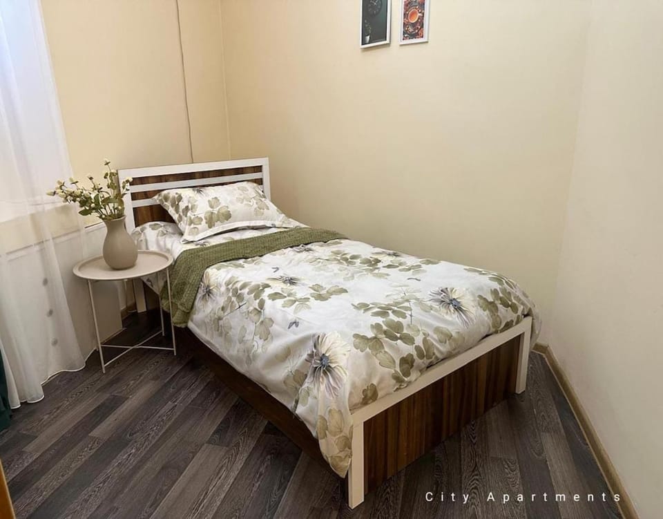 Ali&Nino City Centre Apartment Apartment in Baku