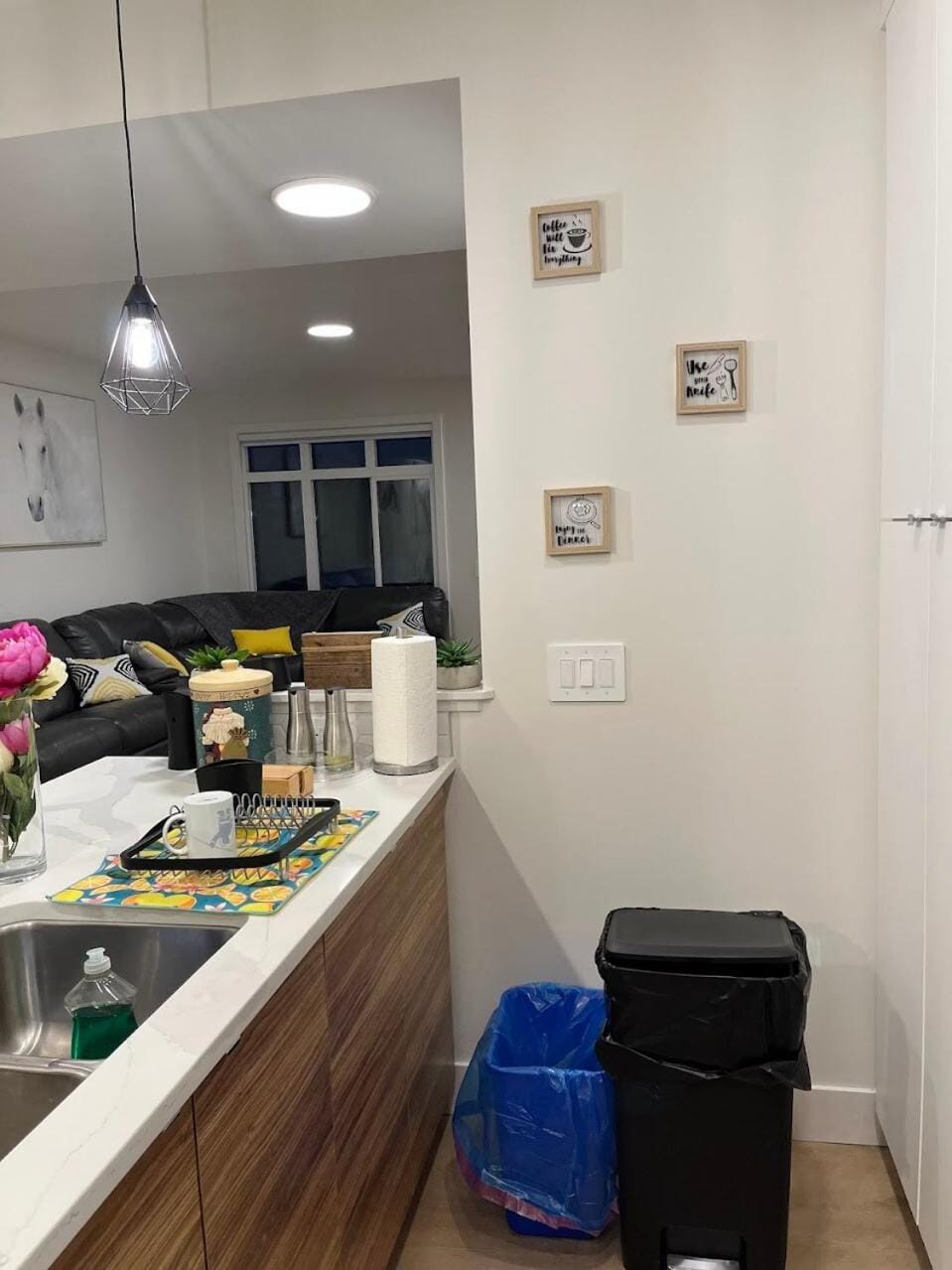 Luxurious, Centrally Located Home in Cavanagh House in Edmonton