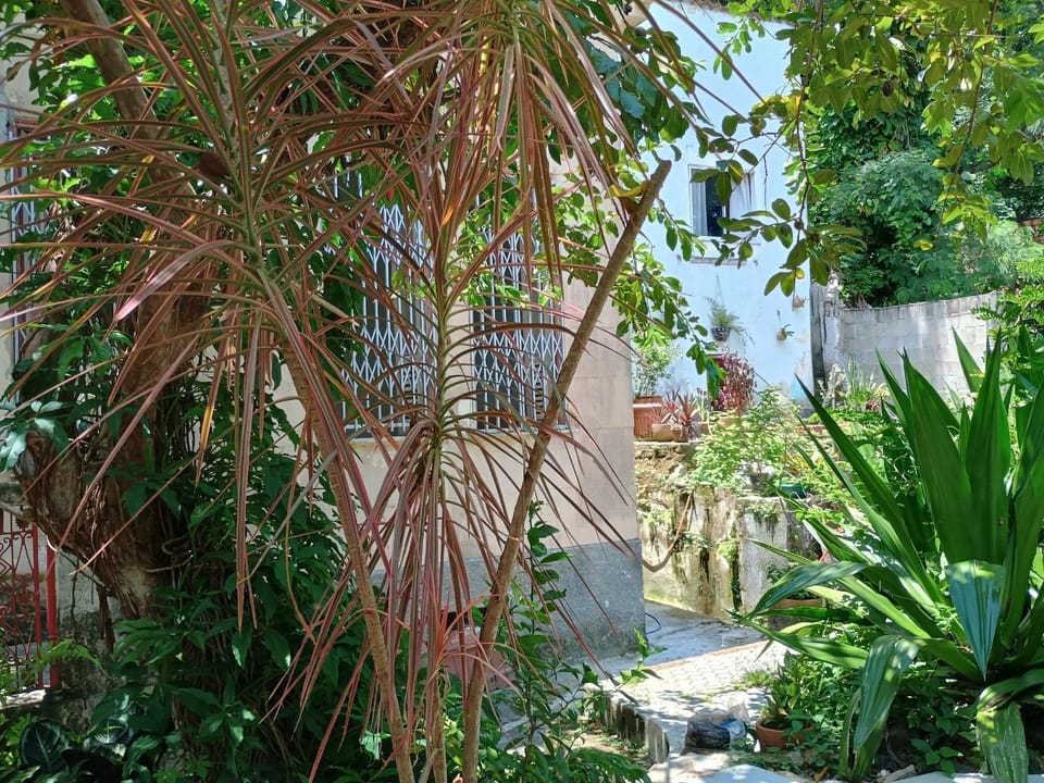 Quiet Old House with Garden in Botafogo House in Santa Teresa