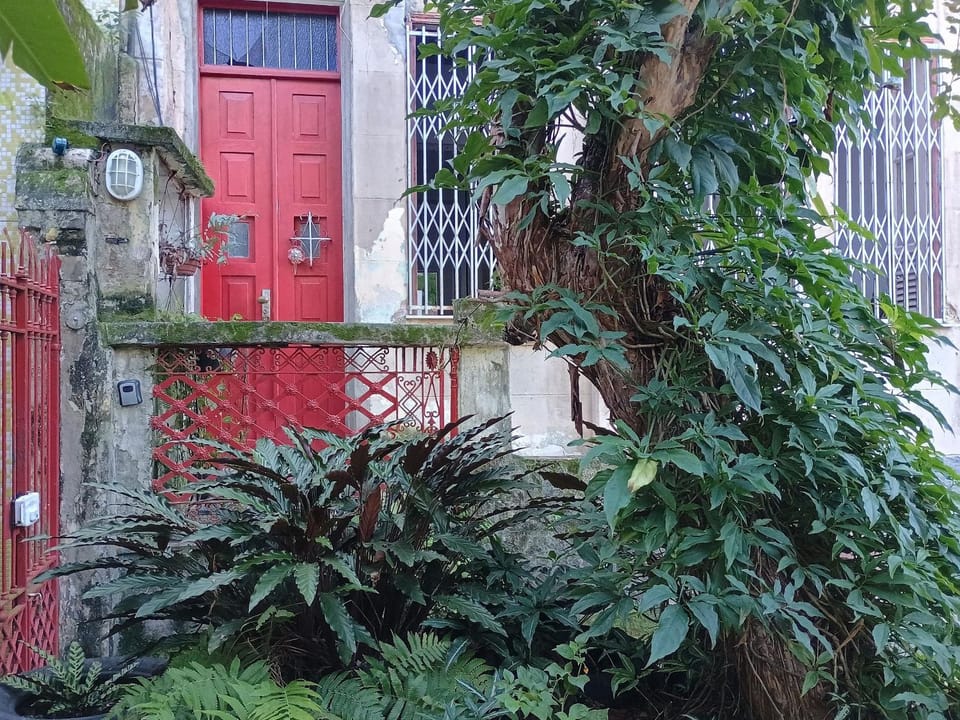 Quiet Old House with Garden in Botafogo House in Santa Teresa