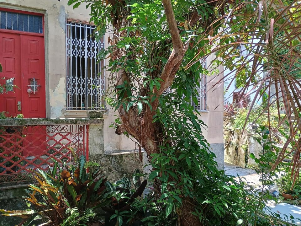 Quiet Old House with Garden in Botafogo House in Santa Teresa