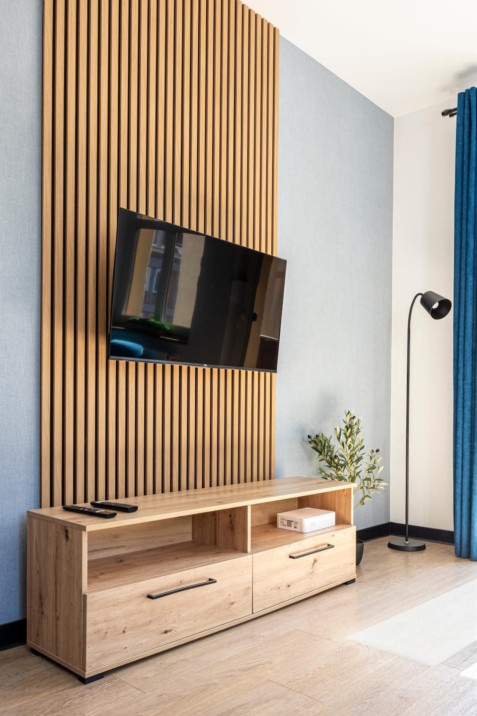 TV and multimedia