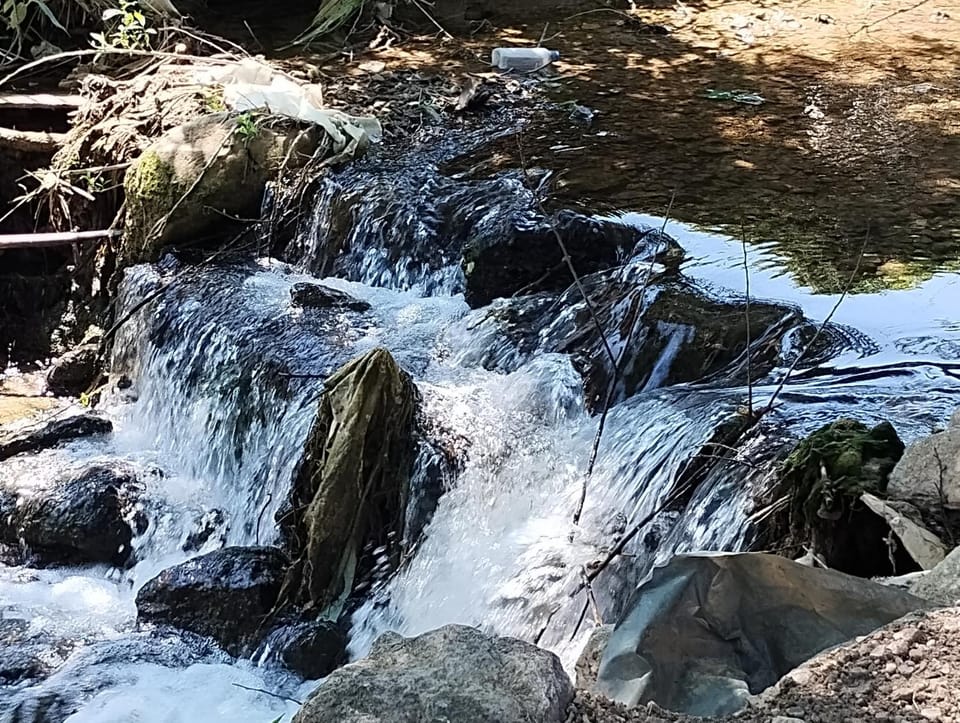 Studio Ivana 3 Apartment in Serbia