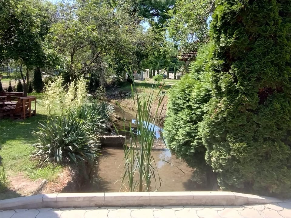 Studio Ivana 3 Apartment in Serbia