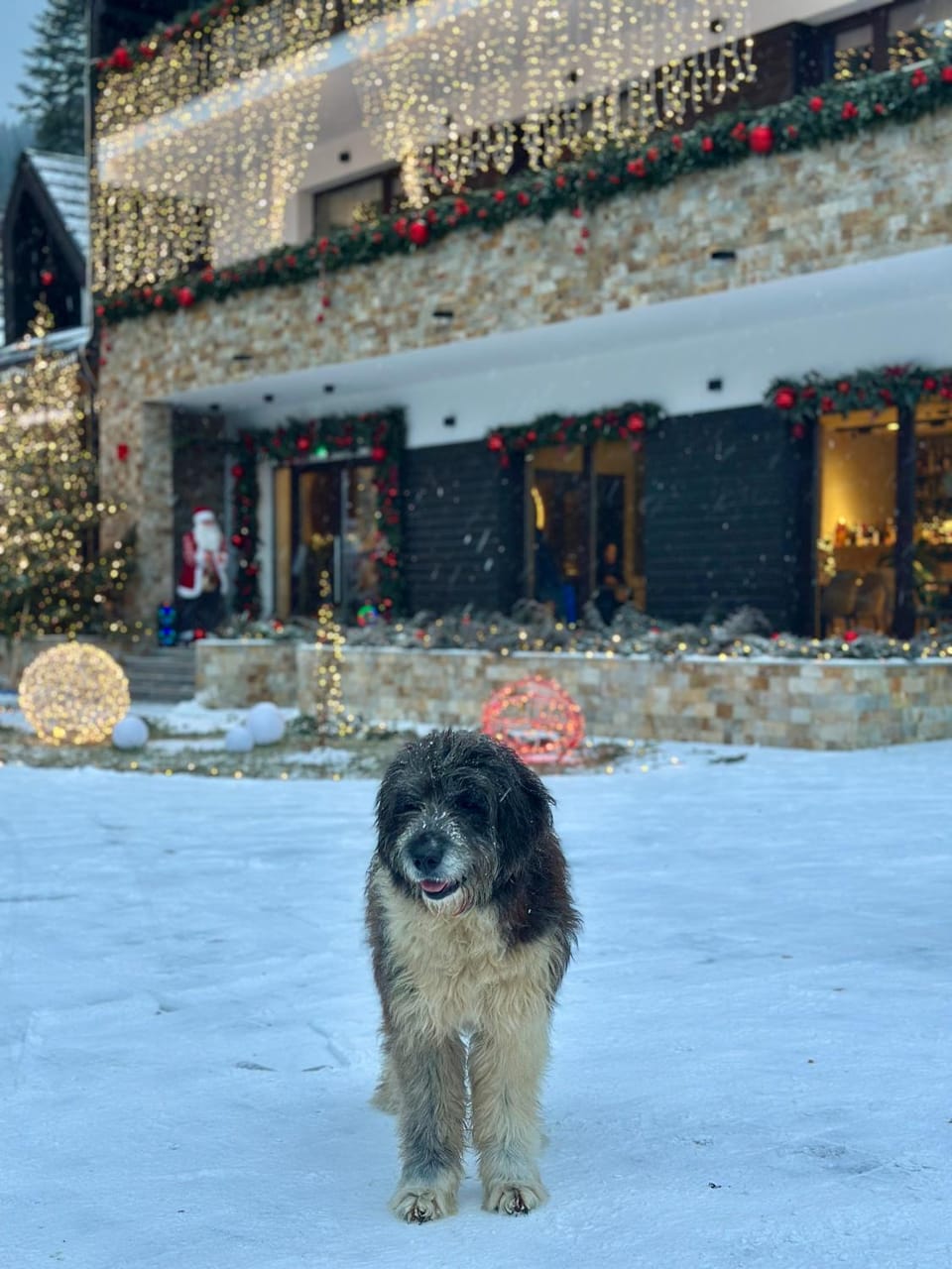 Rarău Retreat Hotel in Romania