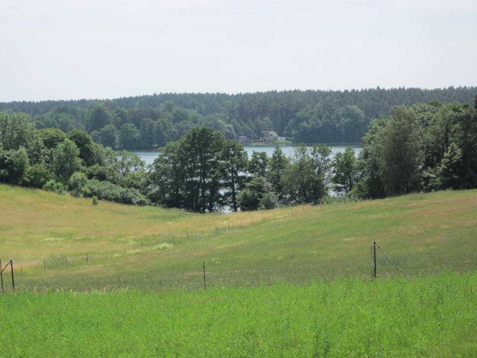 Lake view
