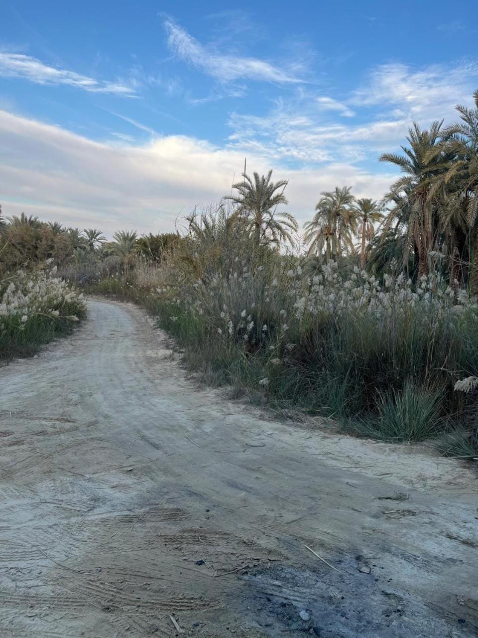 Natural landscape
