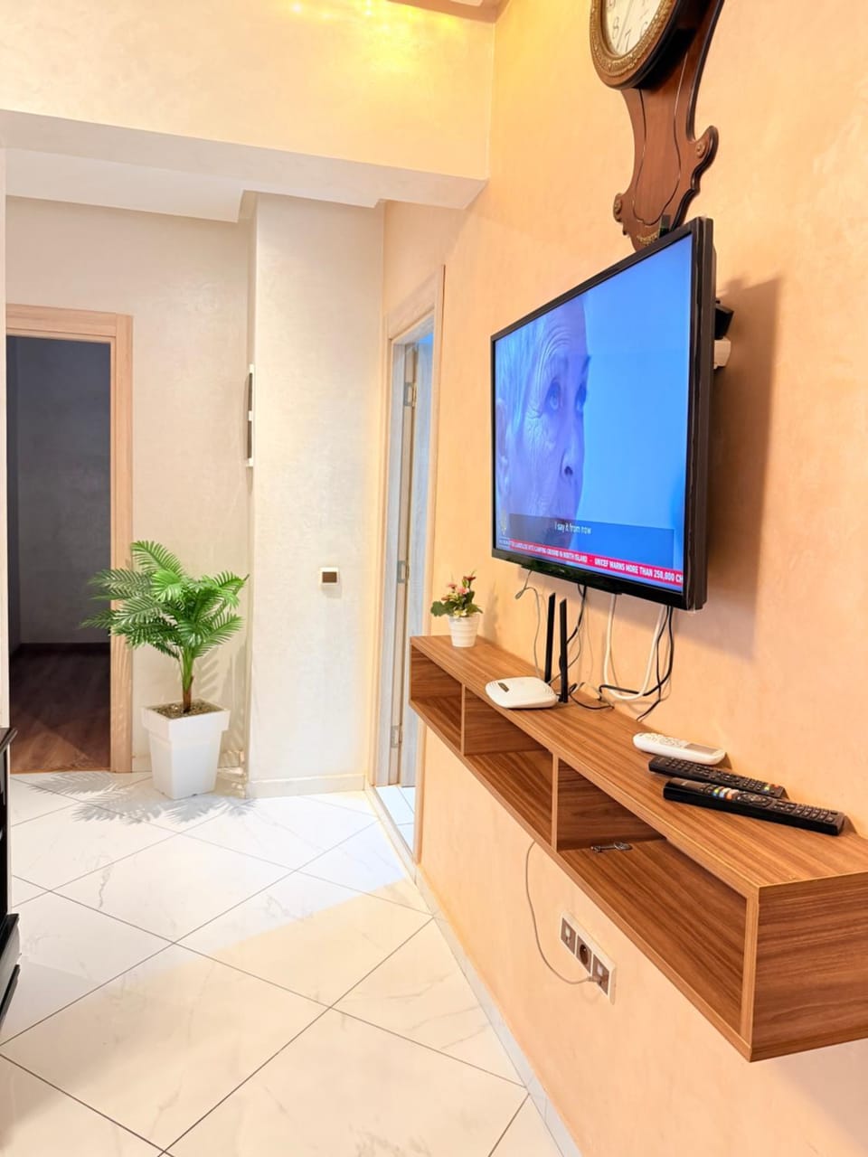 TV and multimedia