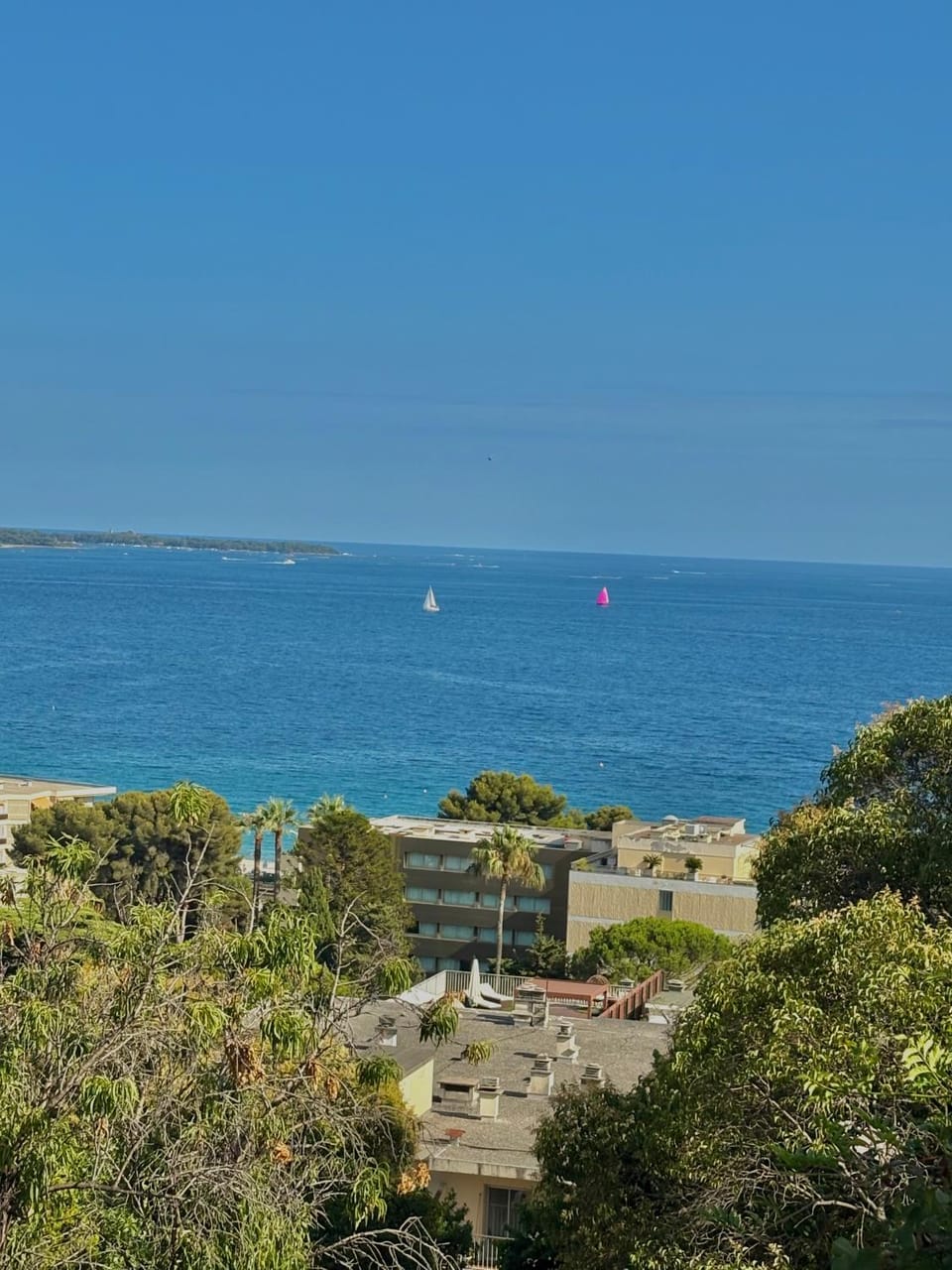 Superbe appartement Apartment in Cannes
