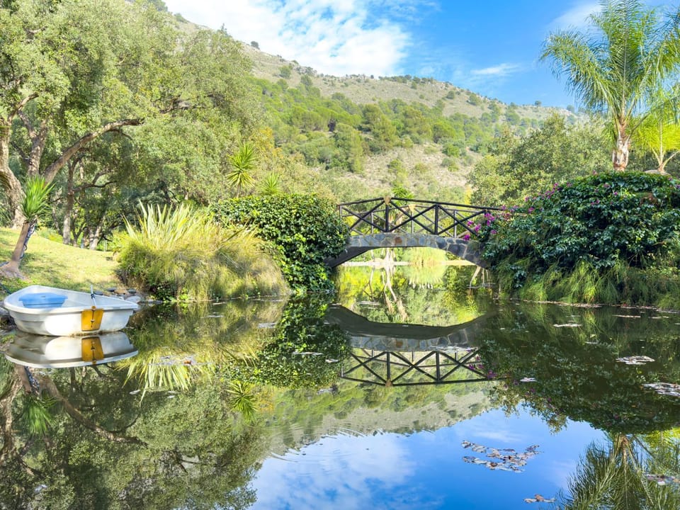 Natural landscape, Garden, Lake view