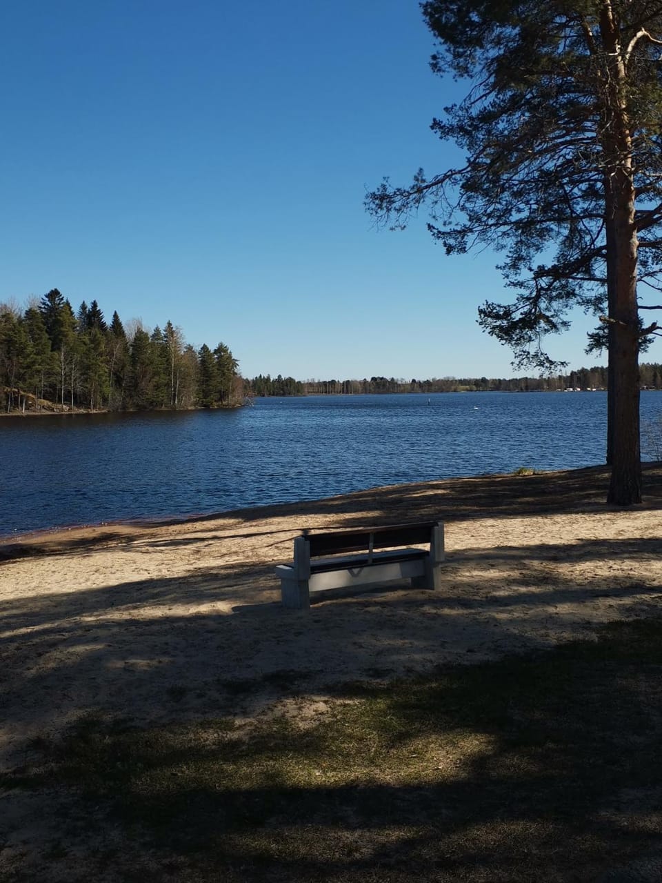 Day, Lake view