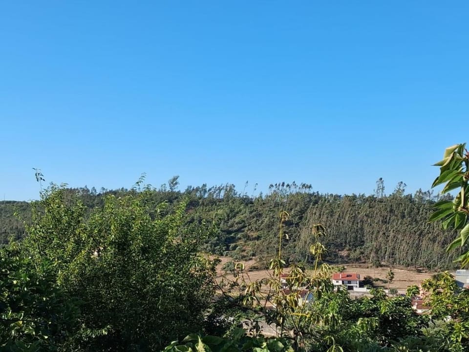 Casa do Ti Maurício House in Leiria, Portugal