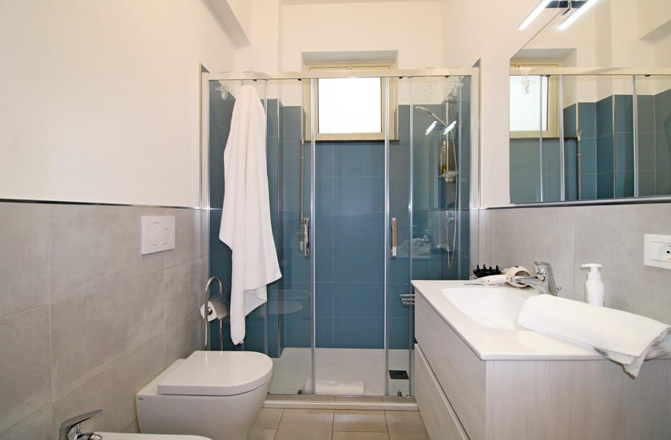 Shower, Toilet, Bathroom, bidet, towels, washing machine