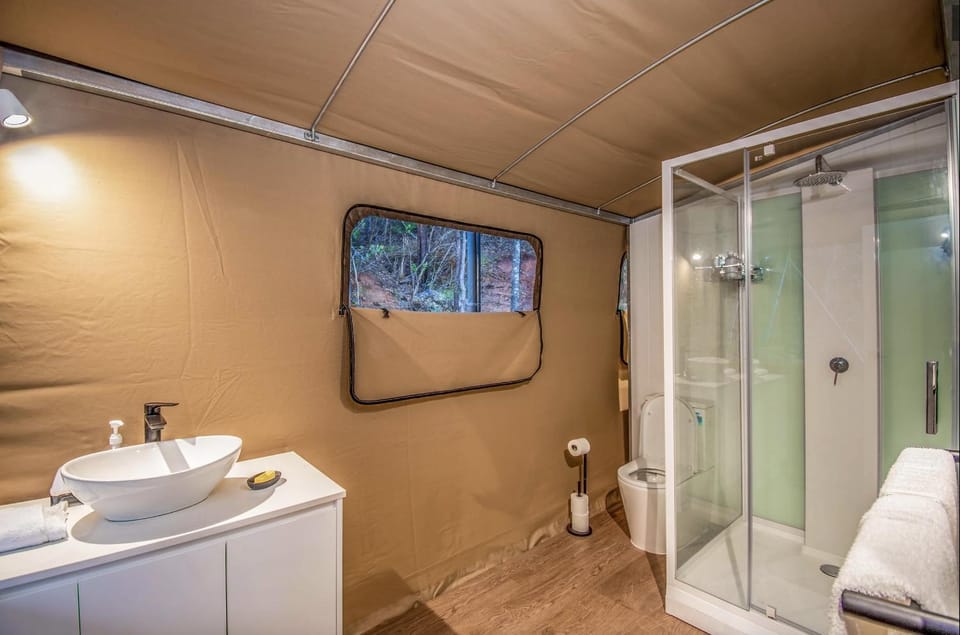 Shower, Toilet, Property building, Bathroom