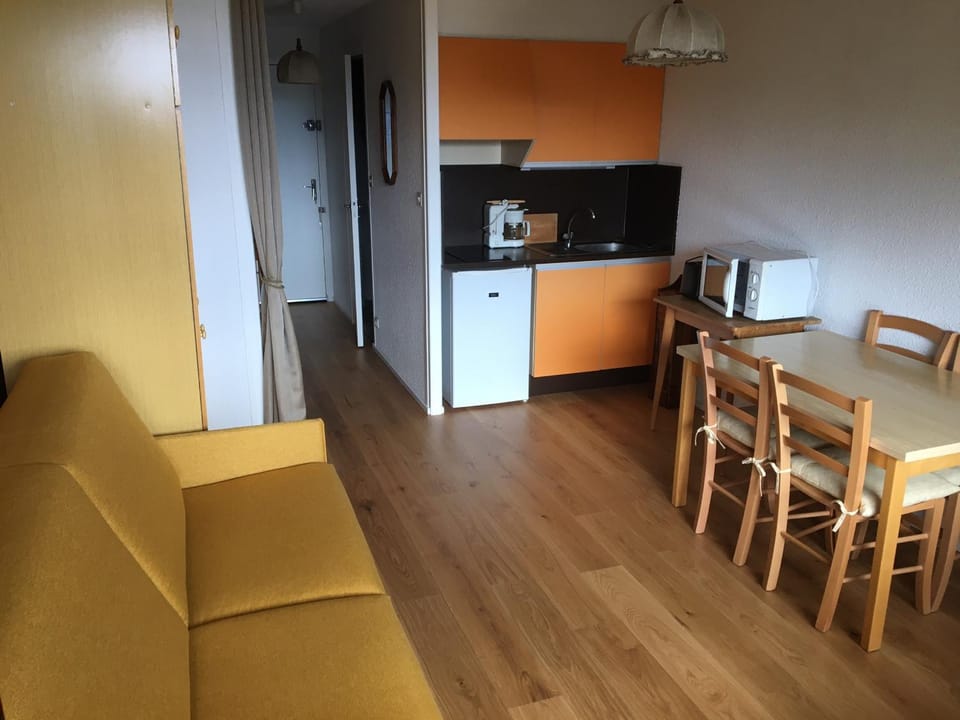 Studio rénové au cœur de la station proche pistes et lac - FR-1-814-18 Apartment in Besse-et-Saint-Anastaise