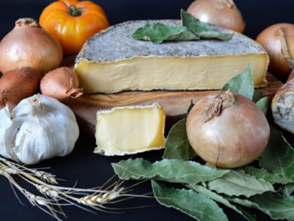 Appartement F3 confortable proche des pistes, idéal familles - FR-1-814-46 Apartment in Besse-et-Saint-Anastaise