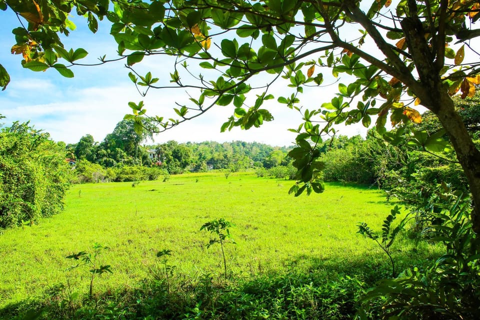 Ran Dam Villa Bed and Breakfast in Mirissa