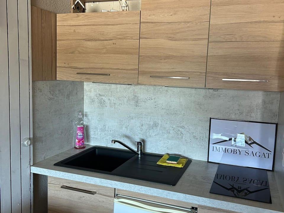 Studio Moderne 4 Pers avec WIFI, Terrasse et Parking Proche des Pistes - FR-1-814-33 Apartment in Besse-et-Saint-Anastaise