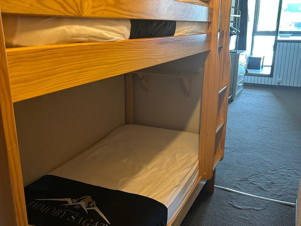 Studio Moderne 4 Pers avec WIFI, Terrasse et Parking Proche des Pistes - FR-1-814-33 Apartment in Besse-et-Saint-Anastaise