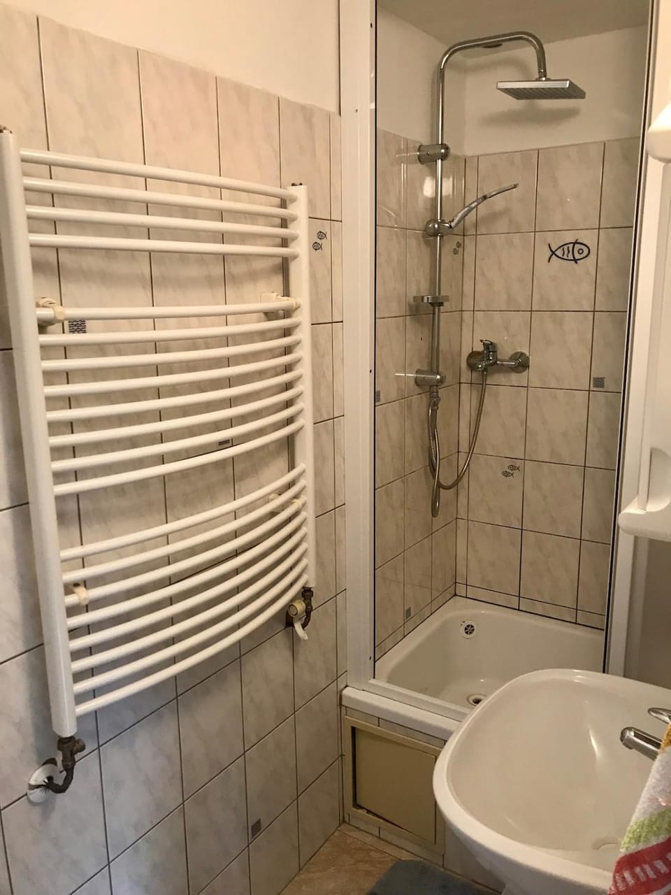 Shower, Bathroom