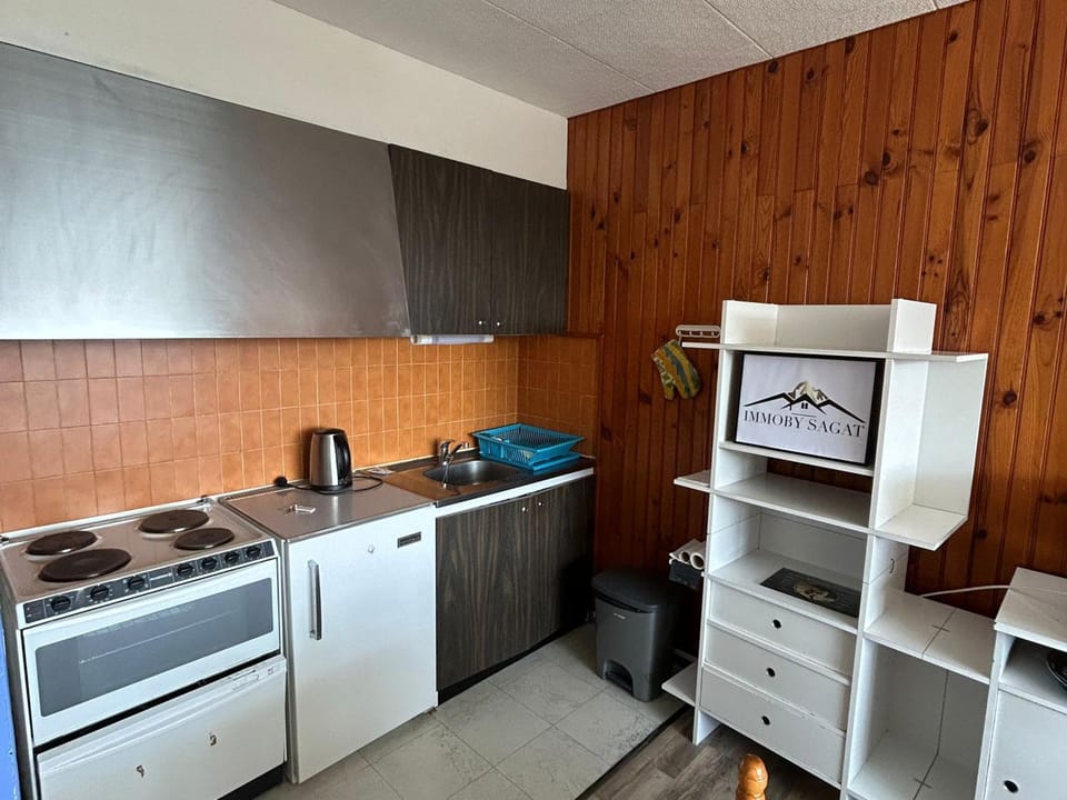 Appartement 2 pièces vue montagne, proche pistes et lac - FR-1-814-64 Apartment in Besse-et-Saint-Anastaise