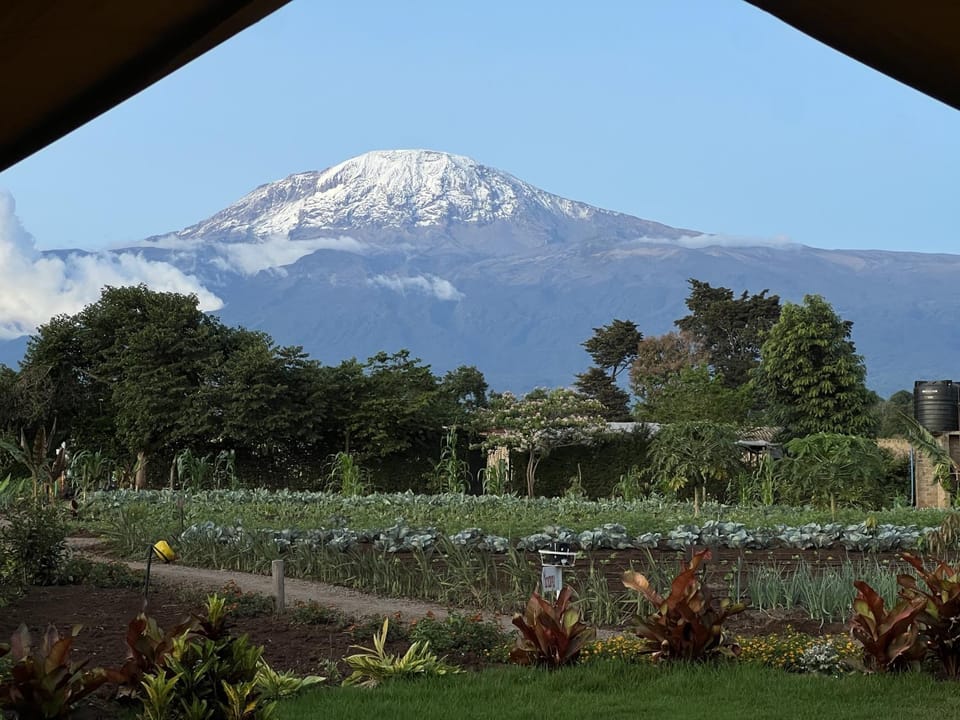 Mountain view, Mountain view