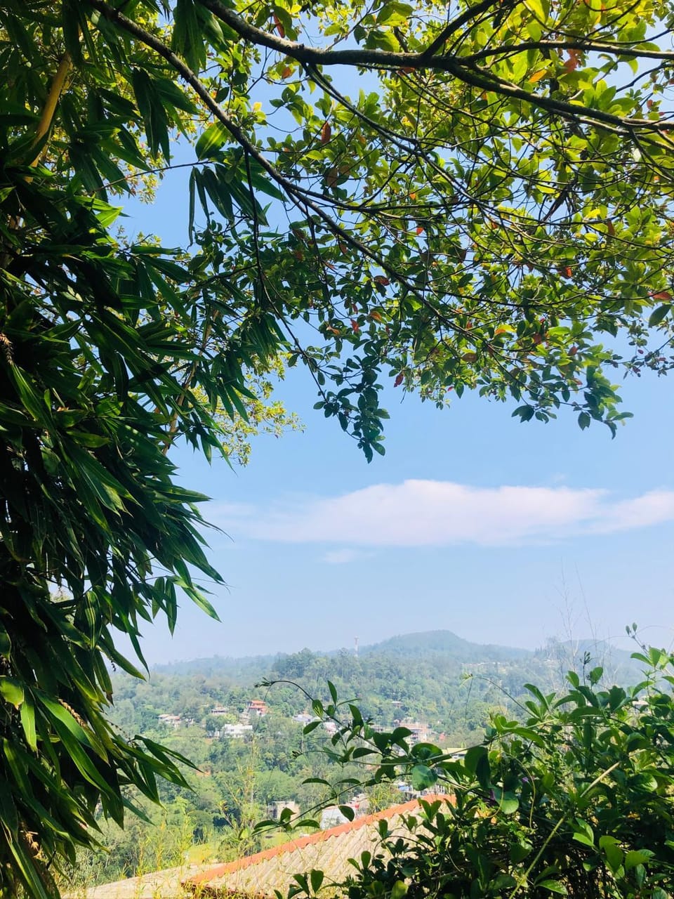 Mountain view