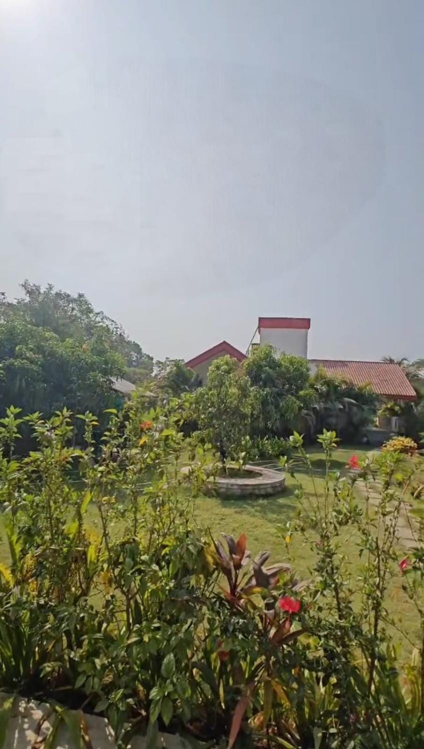 Day, Natural landscape, Garden, Garden view