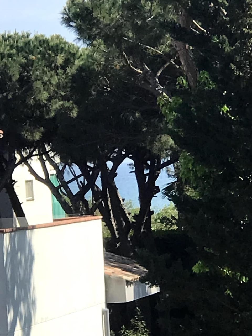 Beach apartment 2 terraces with parking Apartment in Castelldefels