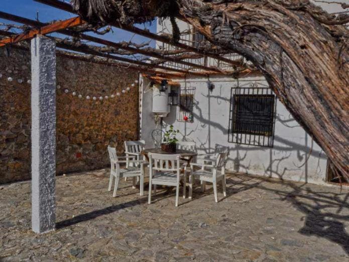 Patio, Day