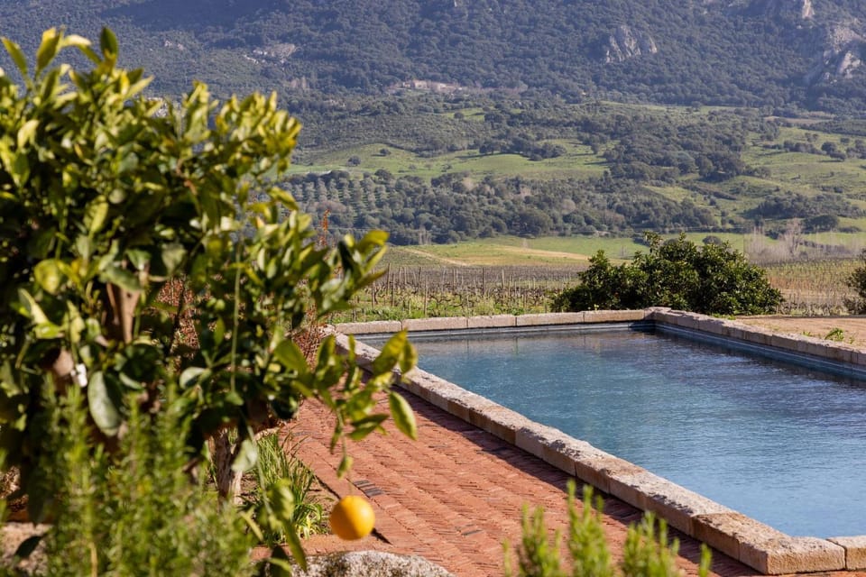 Natural landscape, Mountain view, Pool view, Swimming pool